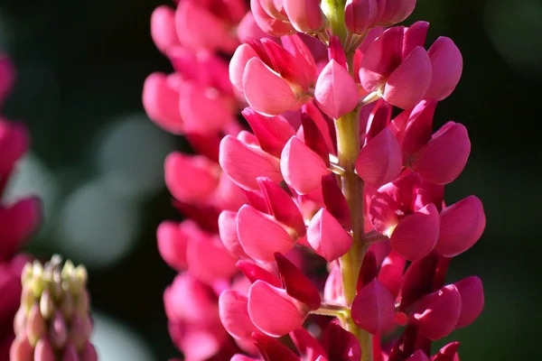 C7娱乐真人娱乐